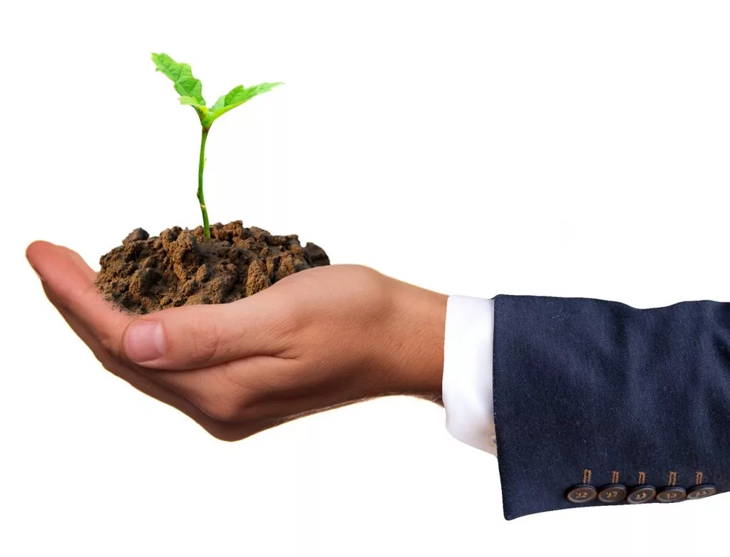 An arm and hand in a business suit holding a seedling in a pile of dirt